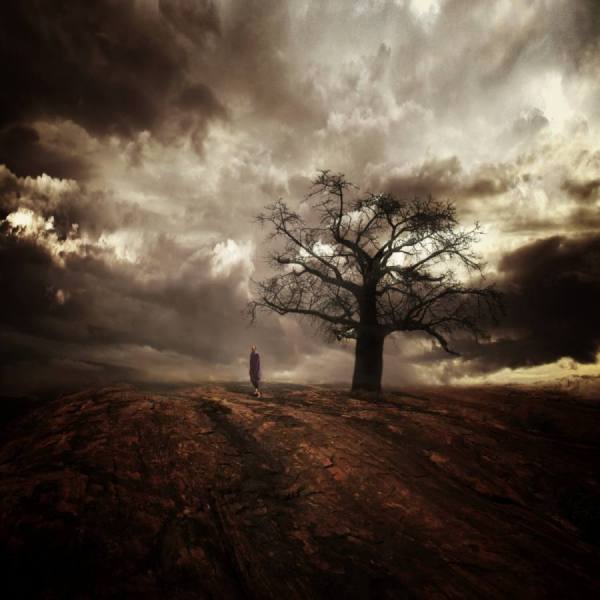 Photograph Ronald Van Grinsven  Africa on One Eyeland